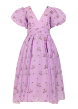 Rosaria Dress
