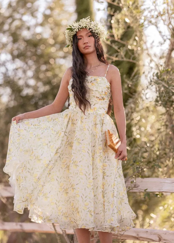 Sweet Bee Dress